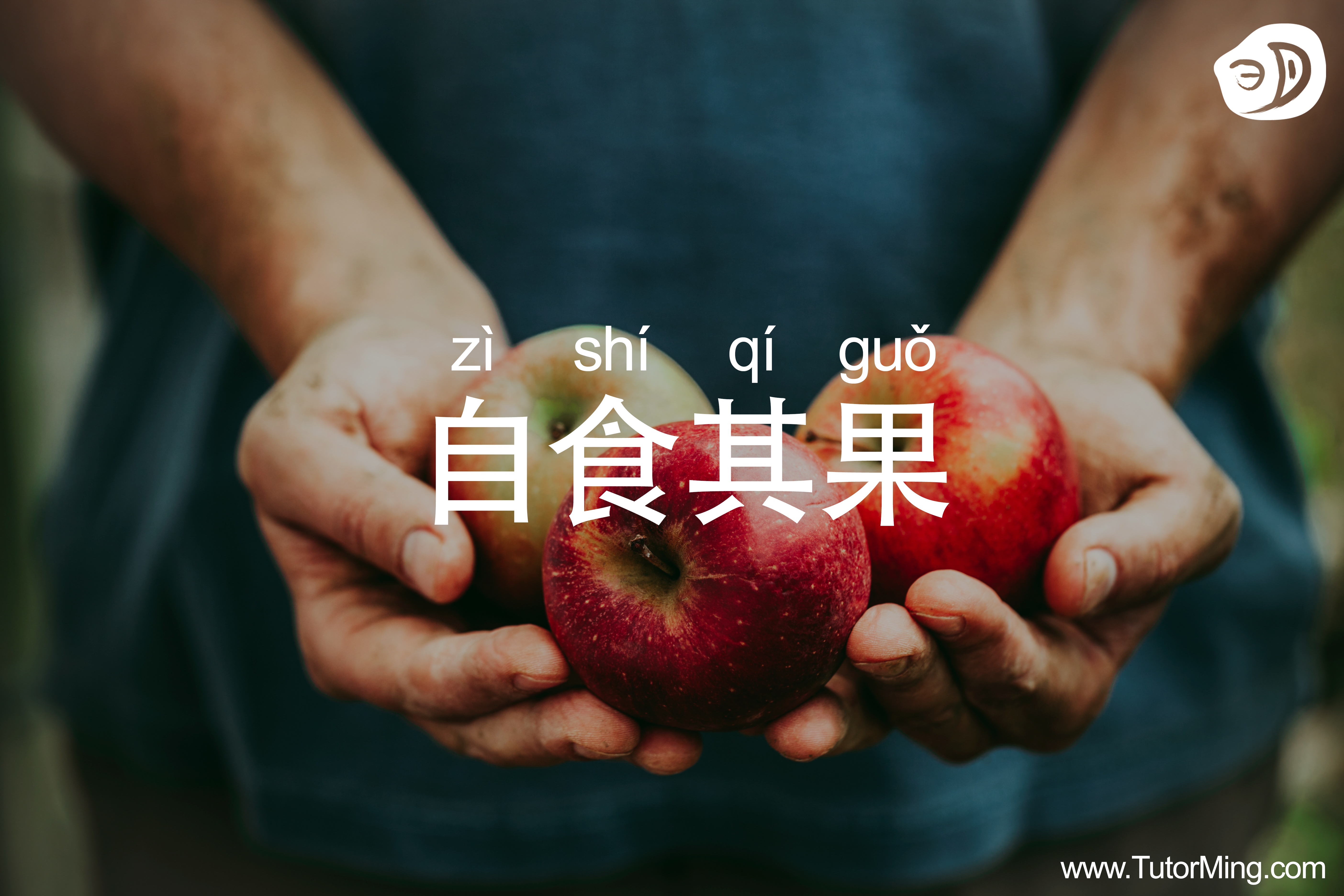 chengyu自食其果meaning