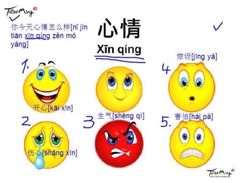 Xin_qing_Emotions_in_Chinese-1.jpg