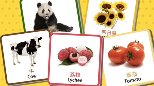 chinese_flashcards.png chinese_flashcards.png