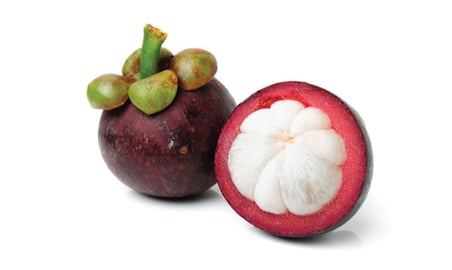 mangosteen_open_2.jpg mangosteen_open_2.jpg