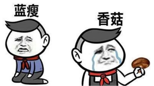 Top Six Chinese Internet Memes of 2016